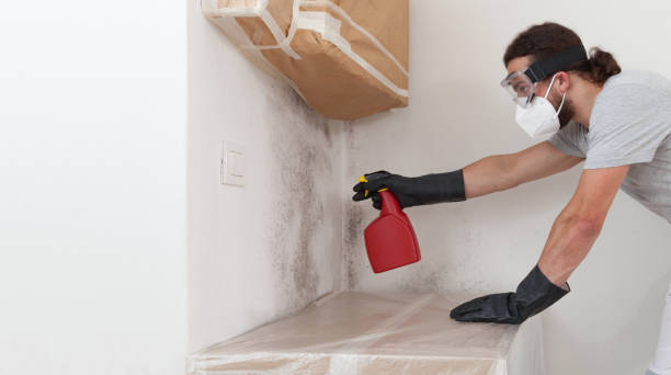 Professional Bathroom Mold Removal technician working in Crapo, MD